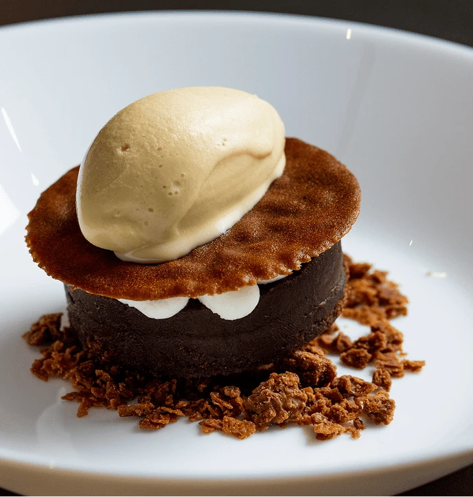 Gourmet dessert with chocolate base, crisp wafer, and scoop of ice cream served on a white plate.